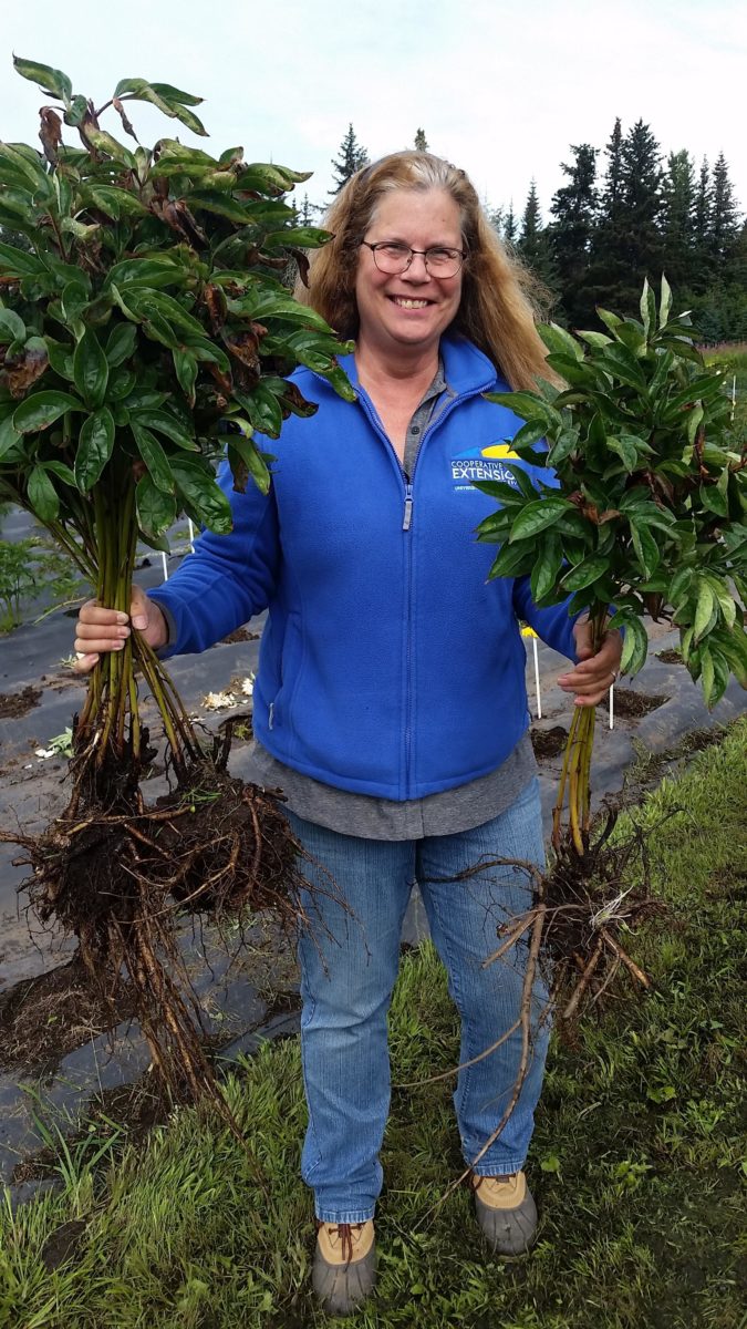 A woman holding two uprooted plants outside