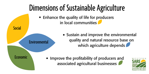 graphic showing 3 legs of sustainability